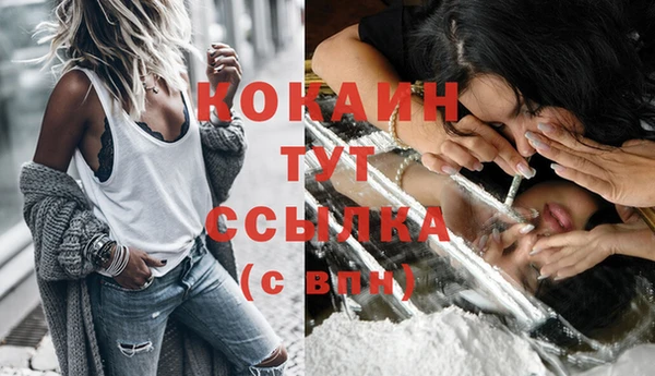 прущий лед Алзамай