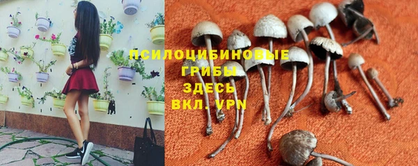 мескалин Абдулино