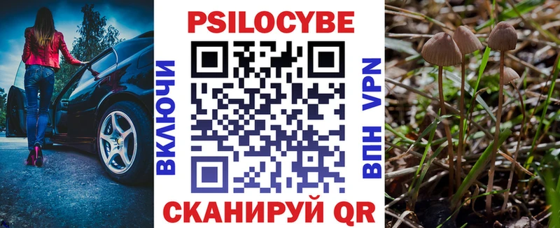 Галлюциногенные грибы Cubensis  площадка официальный сайт  Салават 