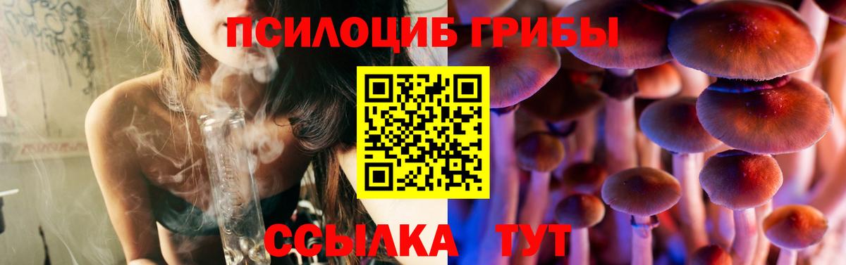 Салават  Псилоцибиновые грибы прущие грибы  Вход с VPN  Галлюциногенные грибы мицелий 